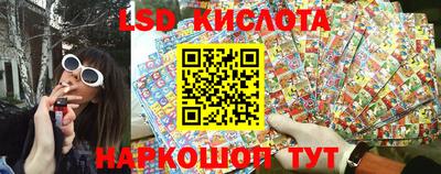 прущие грибы Будённовск