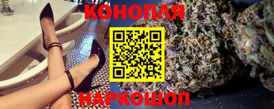 прущие грибы Будённовск