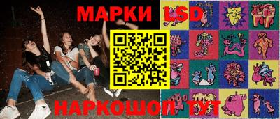 прущие грибы Будённовск