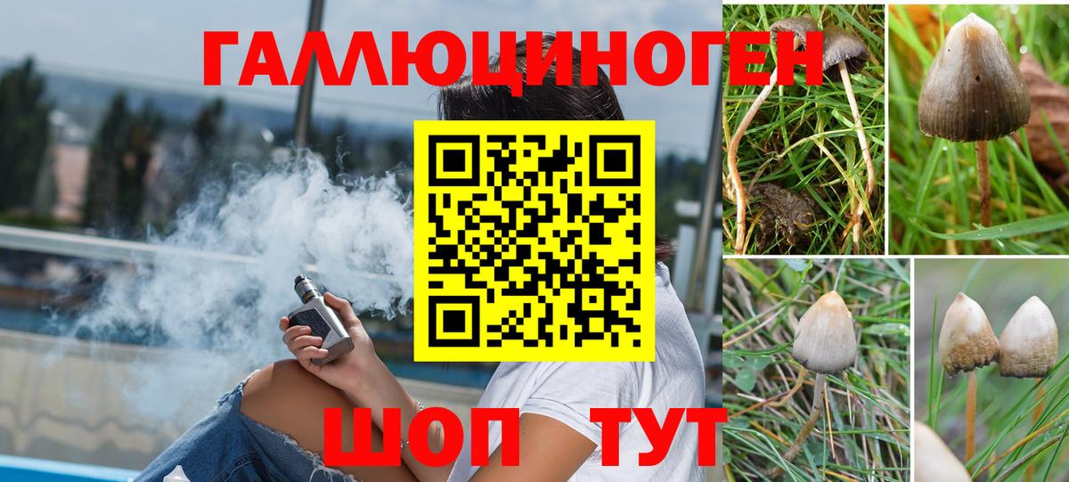 Галлюциногенные грибы GOLDEN TEACHER  Вход с VPN  цены   Тольятти 