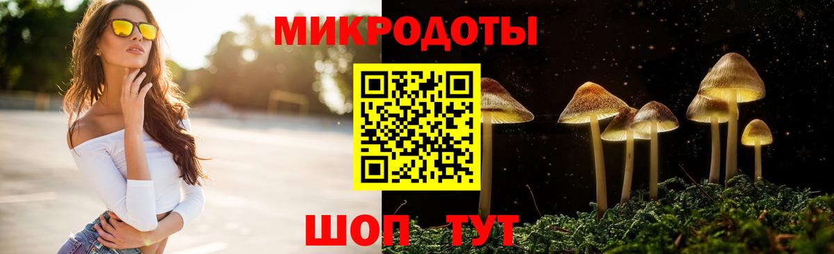 Галлюциногенные грибы мицелий Тольятти